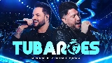 Miniatura del vídeo Tubarões - Ao Vivo