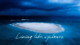 Miniatura del vídeo Cyclones