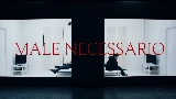 Miniatura del vídeo MALE NECESSARIO