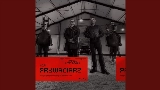 Miniatura del vídeo Prywaciarz