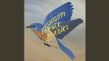 Miniatura del vídeo Mississippi River Bluebird