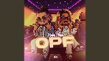 Miniatura del vídeo OPF