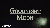 Miniatura del vídeo Goodnight Moon