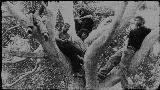 Miniatura del vídeo Coco Gauff