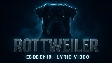 Miniatura del vídeo Rottweiler