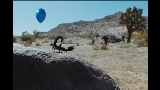 Miniatura del vídeo What You Want (feat. Teezo Touchdown)