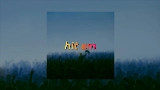 Miniatura del vídeo Hit Em