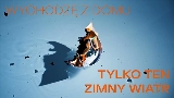 Miniatura del vídeo tofu