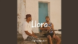Miniatura del vídeo Lloro