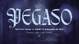 Miniatura del vídeo Pegaso