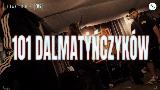 Miniatura del vídeo 101 DALMATYŃCZYKÓW