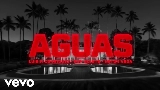 Miniatura del vídeo Aguas