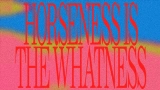Miniatura del vídeo Horseness Is The Whatness