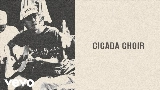 Miniatura del vídeo Cicada Choir