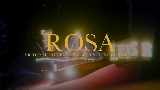 Miniatura del vídeo Rosa