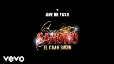 Miniatura del vídeo Ave de Paso