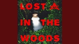 Miniatura del vídeo Lost In The Woods