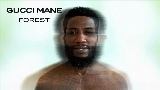 Miniatura del vídeo Forest