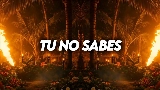 Miniatura del vídeo Tu No Sabes