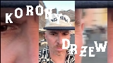 Miniatura del vídeo Korony drzew