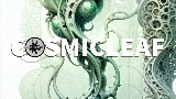 Miniatura del vídeo World of fungi
