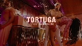 Miniatura del vídeo Tortuga