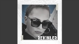Miniatura del vídeo Rehinler