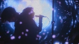 Miniatura del vídeo the long night