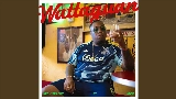 Miniatura del vídeo Wattaguan