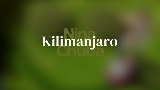 Miniatura del vídeo Kilimanjaro