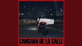 Miniatura del vídeo Cansada De La Calle
