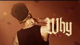 Miniatura del vídeo WHY