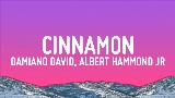 Miniatura del vídeo Cinnamon (feat. Albert Hammond Jr)