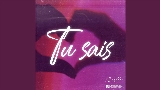 Miniatura del vídeo Tu sais