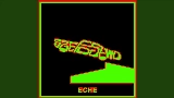 Miniatura del vídeo ECHE