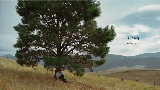 Miniatura del vídeo Daylight
